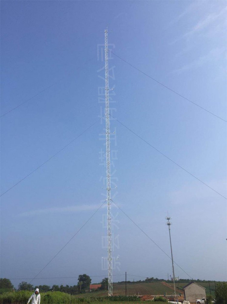 辽宁庄河市核电项目气象铁塔及10米风杆建设项目